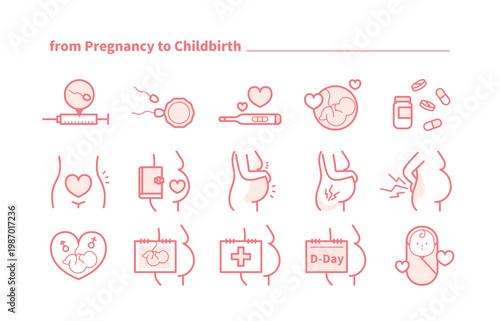 from pregnancy to childbirth
