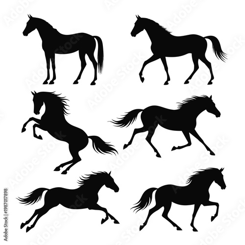 Majestic Horse Silhouettes: A striking collection of elegant horse silhouettes, showcasing various dynamic poses, perfect for any design project. 