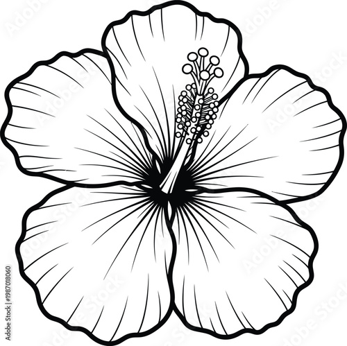 Hibiscus tropical flower coloring page