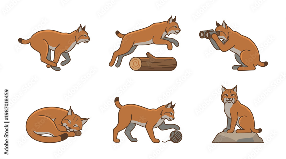 Fototapeta premium Cute cartoon flat bobcat vector set doing various activities including running, jumping, using binoculars, sleeping, playing with yarn, and sitting on a rock for kids animal design.