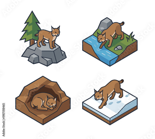 Isometric bobcat vector set showing wild cat in different nature habitats including standing on rock, drinking from river, sleeping in cave, and walking on snowy winter landscape.