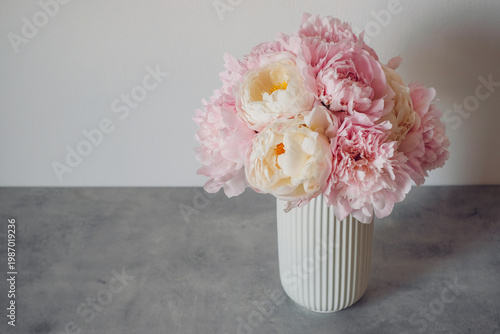 Beautiful bouquet of fresh colorful fluffy peony flowers in full bloom in vase on gray concrete background. Floral still life. Copy space for text.
