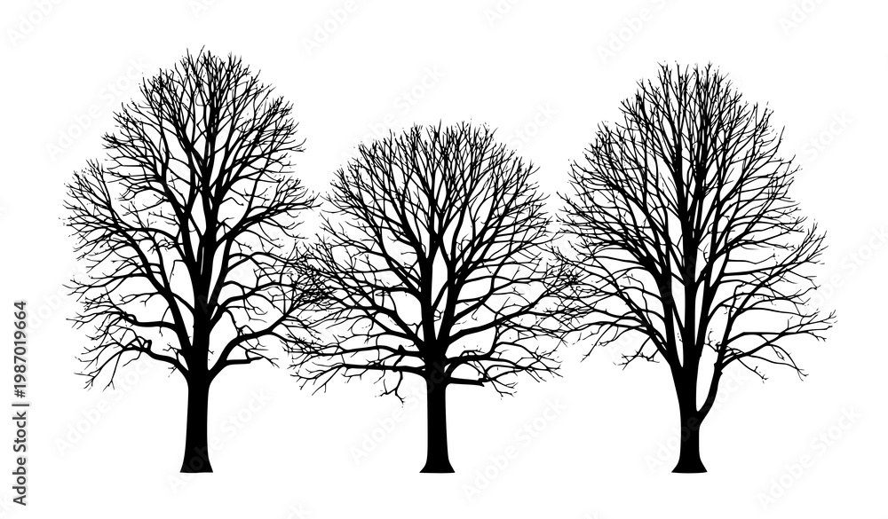 Obraz premium Bare trees silhouette vector illustration isolated on white background