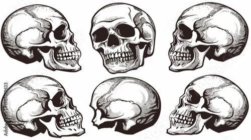 Six stylized grayscale skulls, showing various angles. Hand-drawn look with detailed shading
