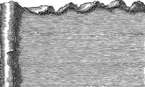 Vintage wood texture background with horizontal grain and bark edge illustration