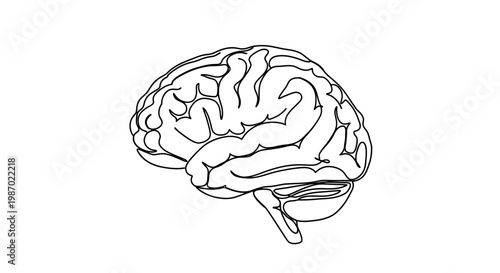 Abstract Brain Line Art