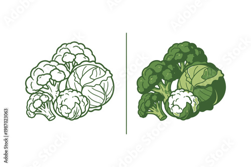 Cauliflower Illustrations in Black and White and Green
