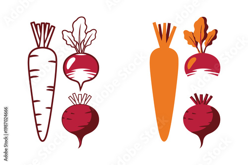 Colorful Vegetable Illustration of Carrots and Beets
