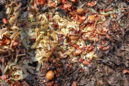 Food waste in a compost heap as fertilizer for the garden. Composting vegetable scraps 