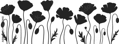 Silhouette wildflowers border design, elegant floral pattern with poppy shapes for decorative vector background