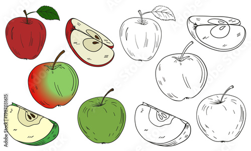 Foto Hand-drawn illustration set of apples in full color and black outline art