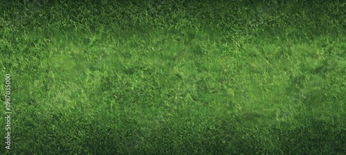 Close Up of Lush Green Grass Field in Spring, Fresh Lawn Texture with Vibrant Nature Scenery