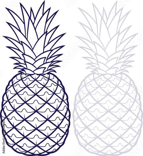 Pineapple Outline Illustration with Bold and Light Line Art Isolated on White