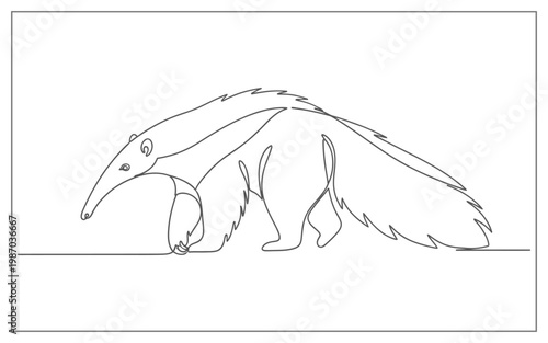 Minimalist line art illustration of an anteater walking, clean design, isolated on white background, simple and elegant animal drawing