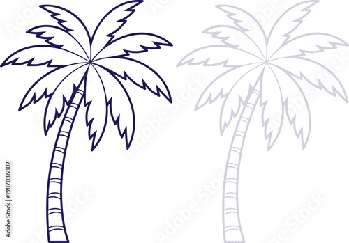 Palm Tree Outline Drawing Vector Illustration Isolated on White