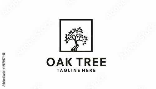 Oak tree logo emblem with stylized roots trunk and leaf branches for nature branding and decorative identity design
