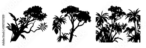 Rainforest canopy icon set with solid black icon on white background featuring trees, foliage, conservation with silhouette and canopy