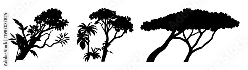 Rainforest canopy icon set with solid black icon on white background featuring trees, foliage, conservation with silhouette and canopy