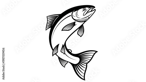 Black and White Jumping Salmon Fish Illustration