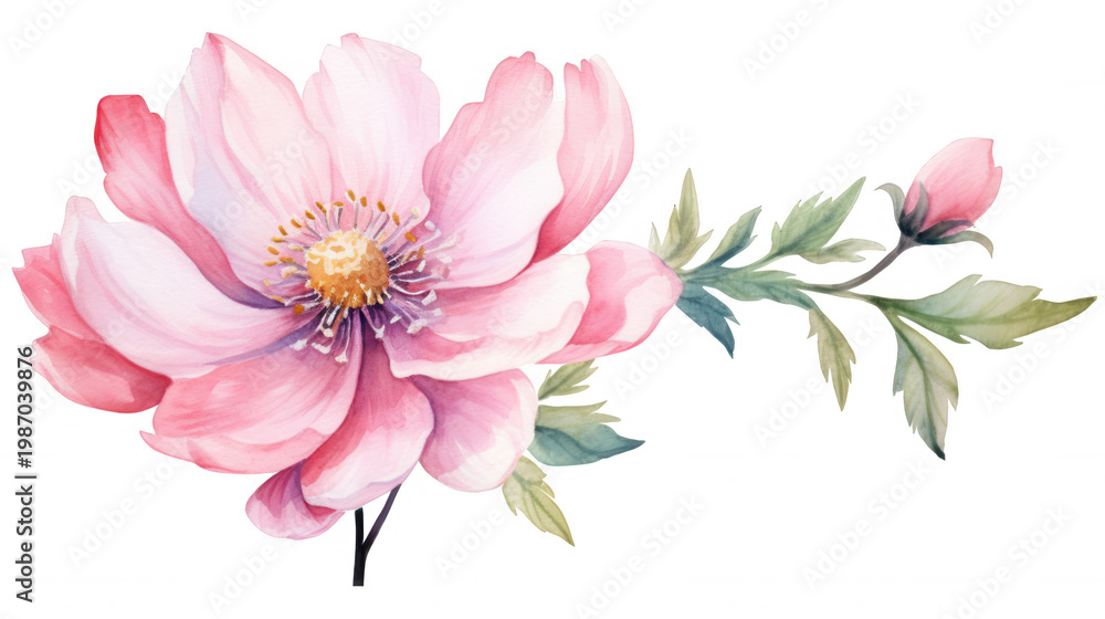 Obraz premium Delicate pink flower with green foliage and developing bud in watercolor style, perfect for elegant design elements