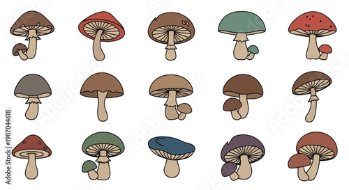 Collection of hand-drawn cartoon mushrooms in various colors, isolated on white.