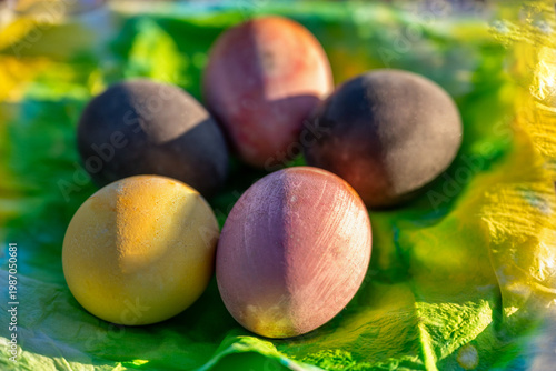 Wallpaper Mural Dyed easter egg on spring colored napkin in plate. Torontodigital.ca