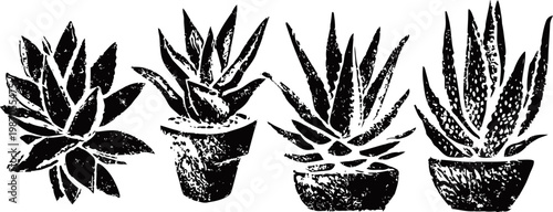 black silhouette of four different succulent plants in pots minimalist botanical design of indoor greenery