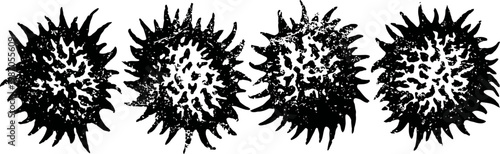 four black cactus silhouettes with spines, spiky round desert plants in a row