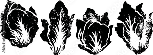 Four romaine lettuce leaves isolated on white background, fresh green vegetable elements