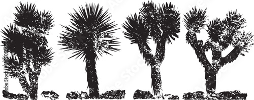 silhouettes of desert joshua trees with rocky ground and spiky leaves