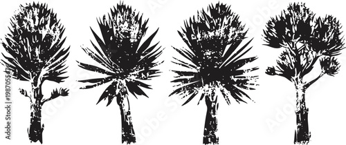 black and white silhouette of palm trees in different shapes and sizes