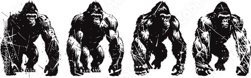Silhouettes of four powerful gorillas in different poses walking forward on white background
