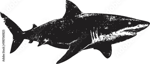 great white shark silhouette swimming underwater marine predator fish ocean wildlife design