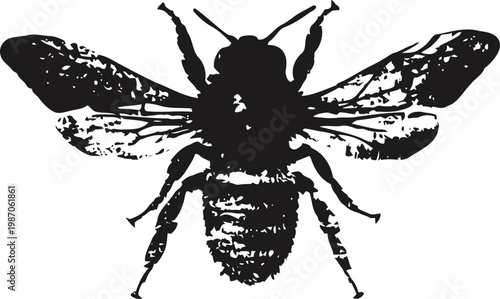 black silhouette of a bee with detailed wings and body structure isolated on white background