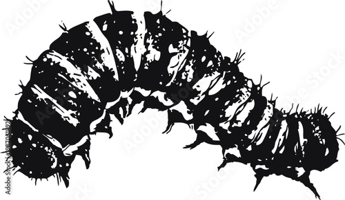 Black silhouette of a caterpillar with spiky hairs crawling in a curved shape