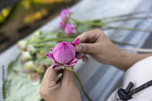 Bild auf Leinwand Hands folding delicate pink lotus petal creating traditional flower arrangement