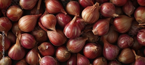 Freshly harvested shallots with coppery skins and tapered ends, beautifully arranged for sale.