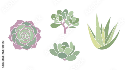 Collection of Succulent Icons with Echeveria, Jade Plant, and Aloe Vera, Soft Pastel Colors, Minimalist Flat Design Isolated on White Background