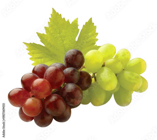 Fresh grapes clusters with green leaves on white background