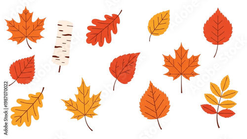 Autumn Leaf Icon Collection with Maple Oak and Birch Leaves, Vibrant Orange Red and Gold Foliage, Flat Vector Style Isolated on White Background