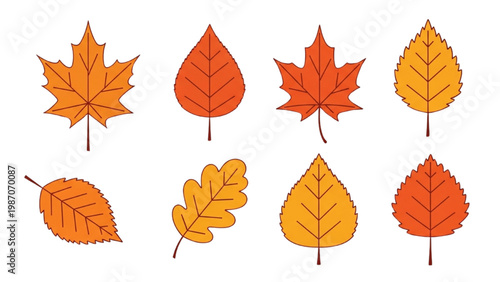 Autumn Leaf Icon Collection with Maple Oak and Birch Leaves, Vibrant Orange Red and Gold Foliage, Flat Vector Style Isolated on White Background