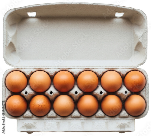 Brown egg png Cardboard carton cutout One dozen png Open box cutout Organic poultry png Fresh food cutout Chicken egg png Paper packaging cutout Farm product png isolated transparent background image