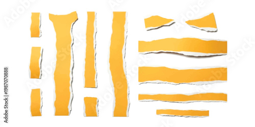 Set of orange carrot cutouts in various shapes isolated on transparent background