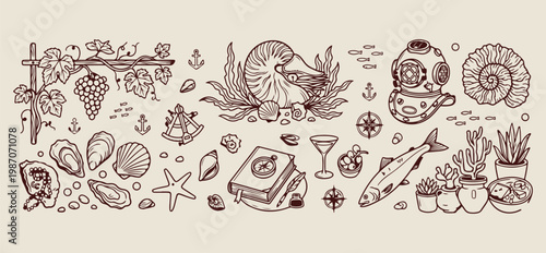 Nautilus shell and nautical vector pattern, hand drawn marine biology line art, coastal sea life sketch illustration, ocean theme nature drawing elements, aquatic biological study graphics, beach vaca