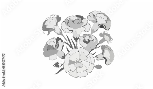 Hand drawn carnation engraving vector vintage floral bouquet retro illustration