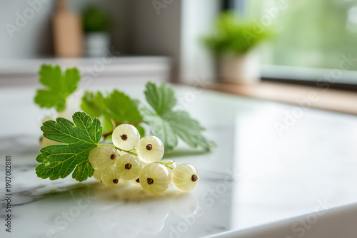 Fresh white currant branch on white marble kitchen countertop in bright morning sunlight, minimalist modern interior background with soft bokeh, high-end lifestyle