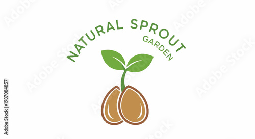 Sprouting seedling with green leaves growing.