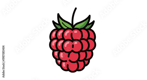Raspberry Fruit Closeup Illustration 1.