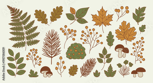 Collection of various leafy plants and mushrooms.