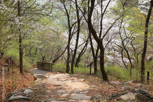 Geumjeong Mountain in Busan, South Korea